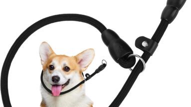 slip collar training rope review