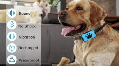 smart dog anti barking device review