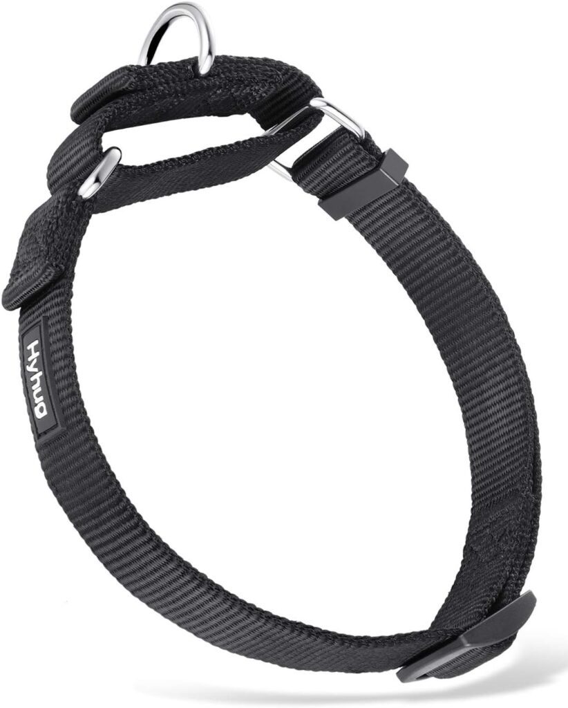 Solid Color Heavy Duty Nylon Anti - Escape Martingale Dog Collar for Boy and Girl Dogs - Walking Training Daily Use. (Large, Military Green)