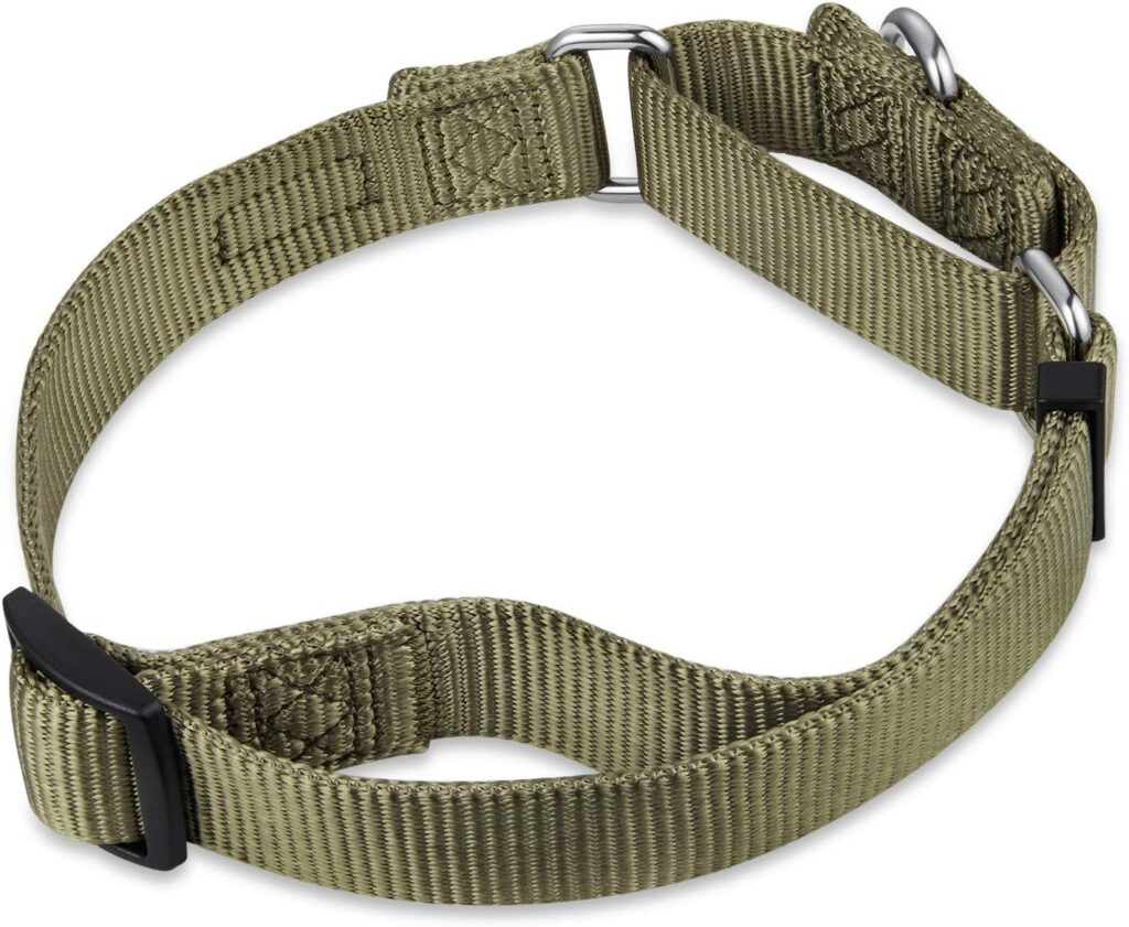 Solid Color Heavy Duty Nylon Anti - Escape Martingale Dog Collar for Boy and Girl Dogs - Walking Training Daily Use. (Large, Military Green)
