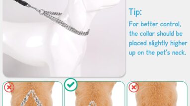 suoet dog chain collar review