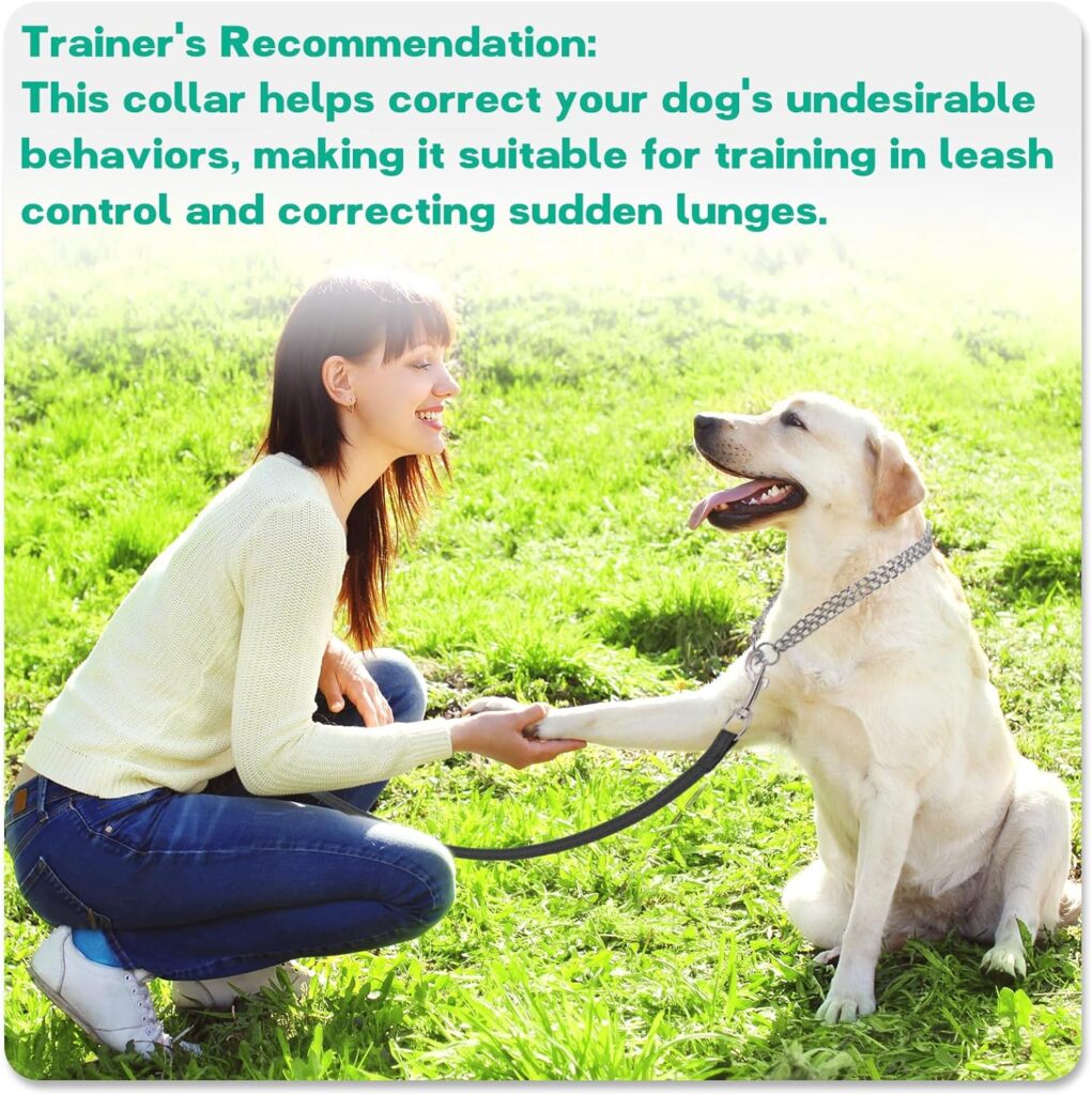 Suoet Dog Chain Collars, 2 Rows Chain Dog Training Choke Collar, Adjustable,Strong, Durable, Weather Proof Stainless Steel Chain Slip Collar for Small Medium Large Dogs(M,50cm) Suoet Dog Chain Collars, 2 Rows Chain Dog Training Choke Collar, Adjustable,Strong, Durable, Weather Proof Stainless Steel Chain Slip Collar for Small Medium Large Dogs(M,50cm)