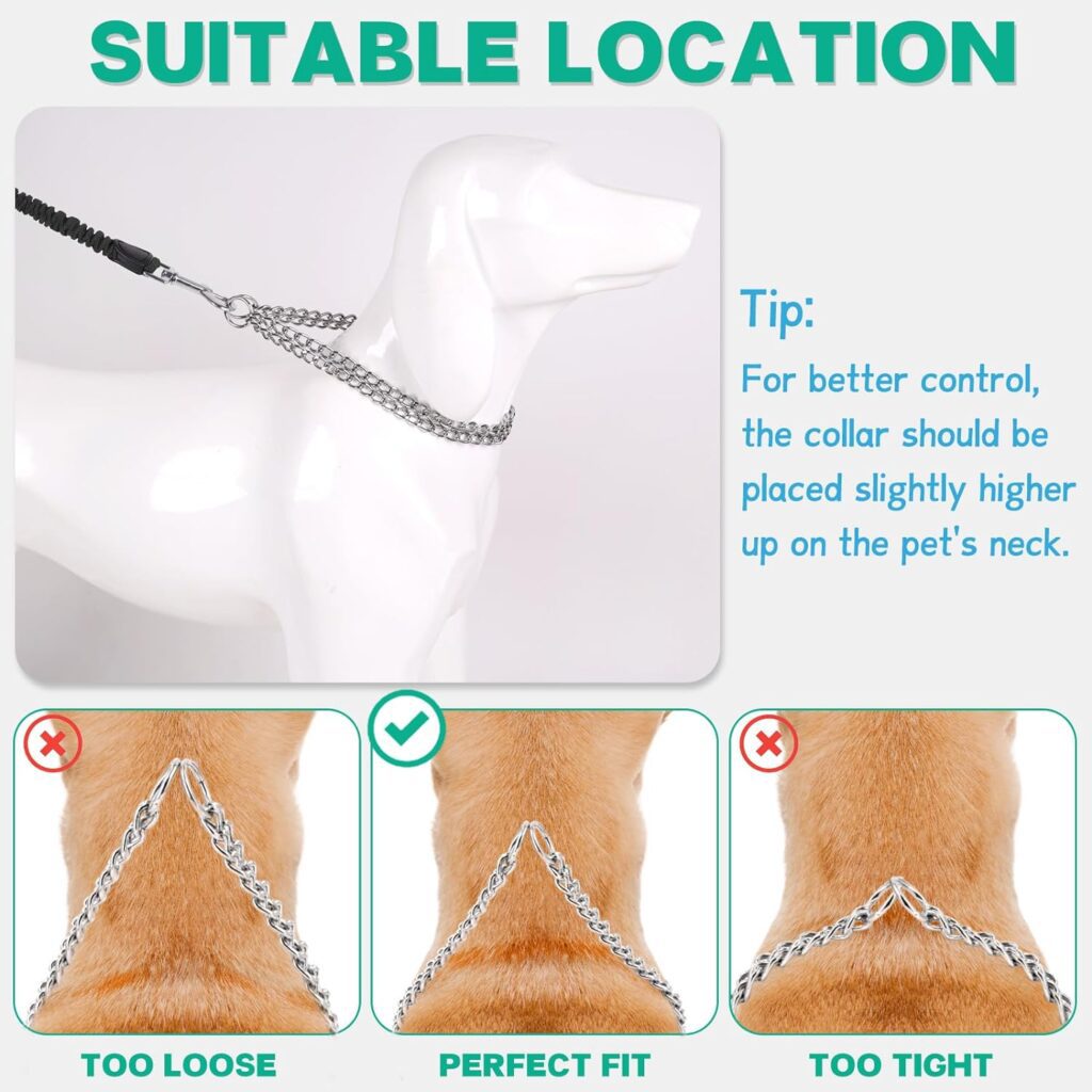 Suoet Dog Chain Collars, 2 Rows Chain Dog Training Choke Collar, Adjustable,Strong, Durable, Weather Proof Stainless Steel Chain Slip Collar for Small Medium Large Dogs(M,50cm) Suoet Dog Chain Collars, 2 Rows Chain Dog Training Choke Collar, Adjustable,Strong, Durable, Weather Proof Stainless Steel Chain Slip Collar for Small Medium Large Dogs(M,50cm)