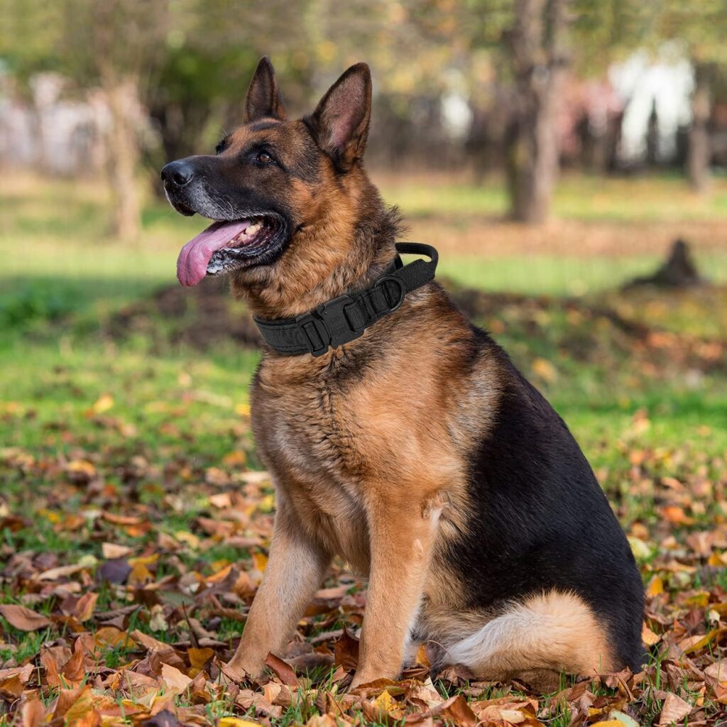 Tactical Dog Collar with Handle - Military Dog Collars Adjustable Training Collar Premium Nylon Dog Collar Heavy Duty Metal Buckle Collar for Medium Large Dogs (XL, Brown) Tactical Dog Collar with Handle - Military Dog Collars Adjustable Training Collar Premium Nylon Dog Collar Heavy Duty Metal Buckle Collar for Medium Large Dogs (XL, Brown)