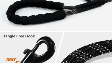 taglory training lead 20m review