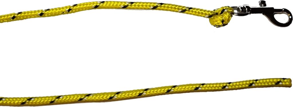 Training Dog Safety Line Thin Training Lead for small Dogs and puppies, 3M approx. High vis Recall Nylon Rope Line for Small dog and Puppy - Duty Swivel Hook – Leash for Pet Obedience