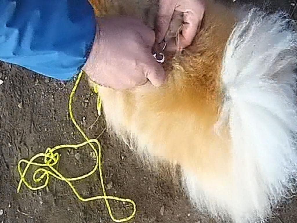 Training Dog Safety Line Thin Training Lead for small Dogs and puppies, 3M approx. High vis Recall Nylon Rope Line for Small dog and Puppy - Duty Swivel Hook – Leash for Pet Obedience