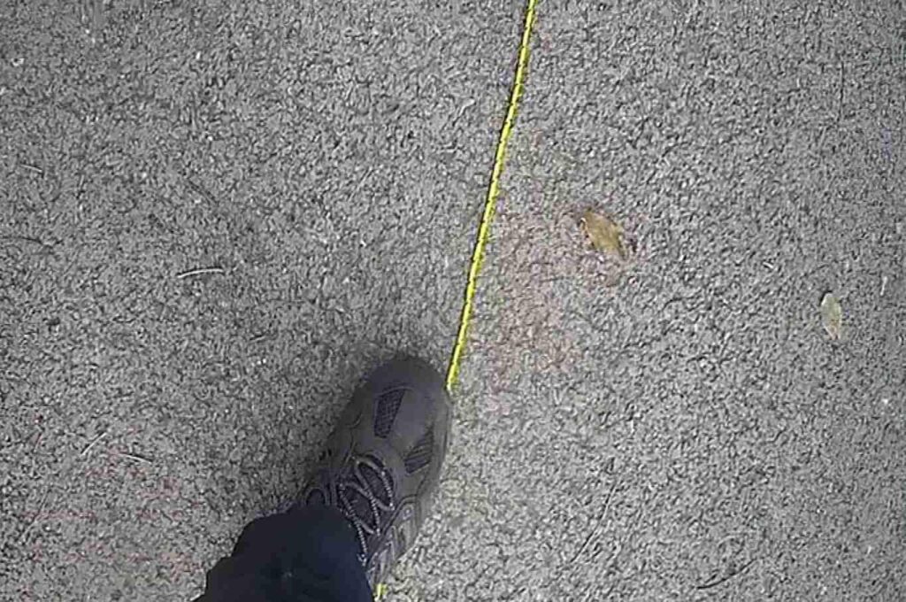 Training Dog Safety Line Thin Training Lead for small Dogs and puppies, 3M approx. High vis Recall Nylon Rope Line for Small dog and Puppy - Duty Swivel Hook – Leash for Pet Obedience