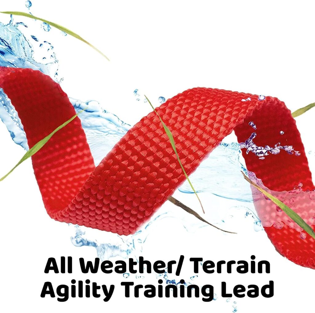 Training Lead for Dogs, RUNEAY Long Line Dog Lead 30m Long Dog Lead for Training, Long Dog Training Lead with Padded Handle, Dog Lead for Recall Training, Long Lead for Small Meduim Large Dog (Red) Training Lead for Dogs, RUNEAY Long Line Dog Lead 30m Long Dog Lead for Training, Long Dog Training Lead with Padded Handle, Dog Lead for Recall Training, Long Lead for Small Meduim Large Dog (Red)