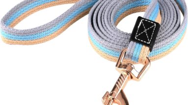 training lead review