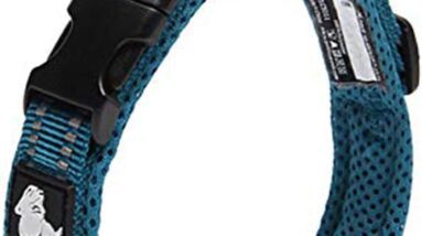 true love truelove dog training collar tlc5011 review