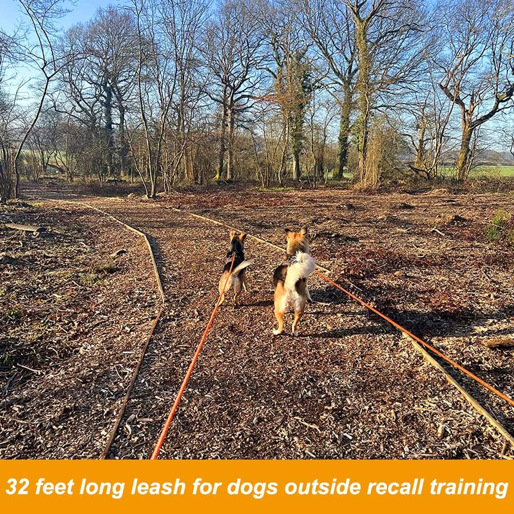 Vivifying Long dog lead, 32FT Floating Long Line Dog Lead, Long Dog Training Lead with Comfortable Handle for Outside, Hiking, Swimming, Beach and Lake (Orange) Vivifying Long dog lead, 32FT Floating Long Line Dog Lead, Long Dog Training Lead with Comfortable Handle for Outside, Hiking, Swimming, Beach and Lake (Orange)