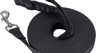 vivifying training lead review