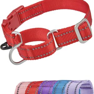 yudote reflective martingale dog collar review