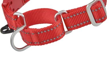 yudote reflective martingale dog collar review