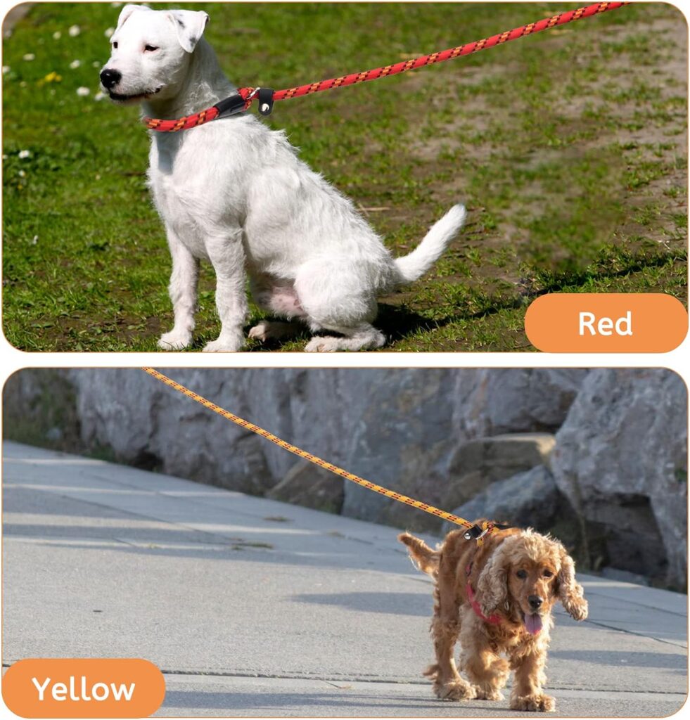 Zhichengbosi 158 CM Slip Lead for Dogs, Durable Adjustable Nylon Training Lead Leash, Soft Slip Lead Traction Rope For Small and Medium Dogs (158 cm)