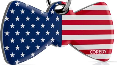 coredy bluetooth tracker tag review