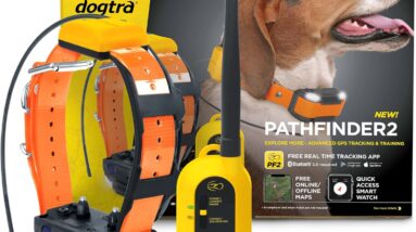 dogtra pathfinder 2 gps dog tracker review