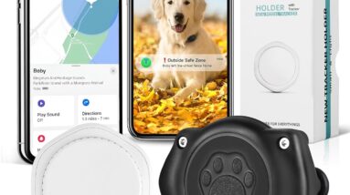 gps tracker for dogs review