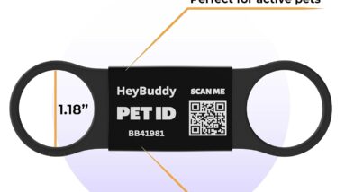 heybuddy slide series pet tag review