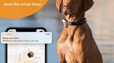 pawfit 3s gps pet tracker review