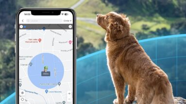 seeworld p1 gps cat dog tracker review