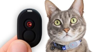 tabcat homing tags v2 review