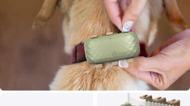 tractive gps dog xl tracker rubber attachment clips pack of 3 review