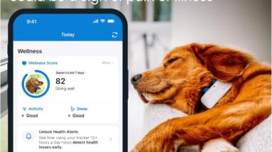 tractive gps pet tracker review