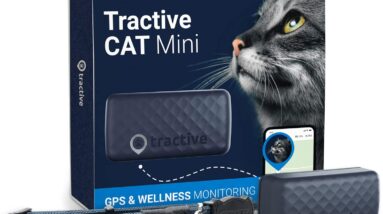 tractive gps tracker review