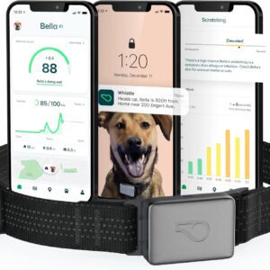 whistle switch gps collar review