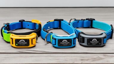 Best Remote Training Collars for Dogs