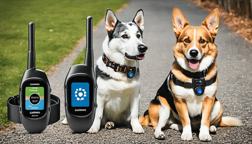 compare Garmin Dogtra SportDog compare Garmin Dogtra SportDog