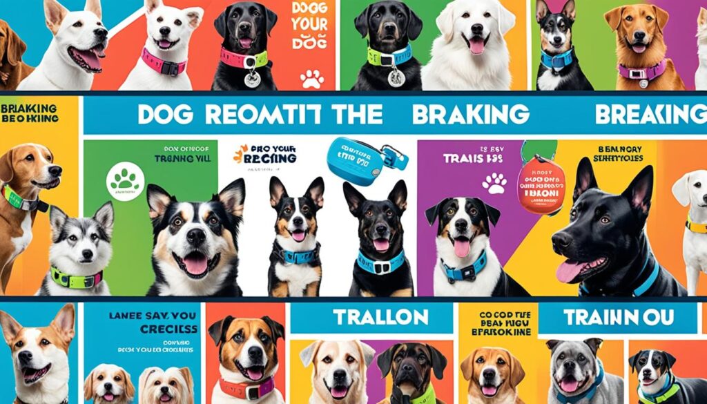 remote training collars affordable remote training collars affordable