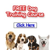 Free Dog Training Course